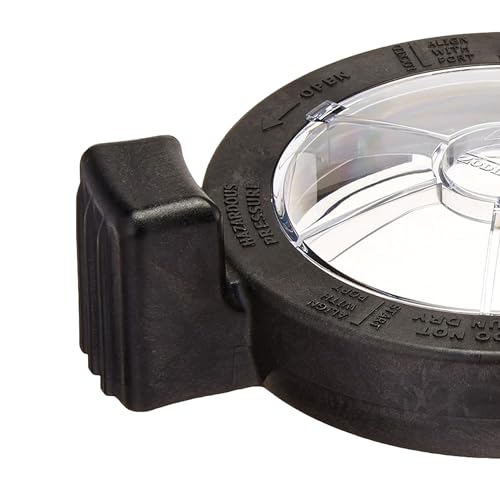Jandy FloPro Pump Lid W/ Locking Assembly and O-Ring