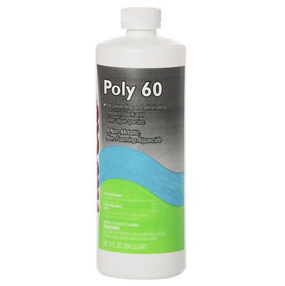 Nu-Clo Poly 60 Algaecide - 1 qt
